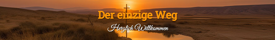 Der einzige Weg