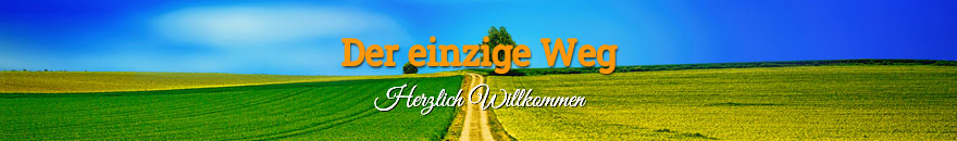 Der einzige Weg